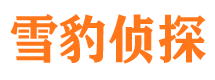 红岗调查公司